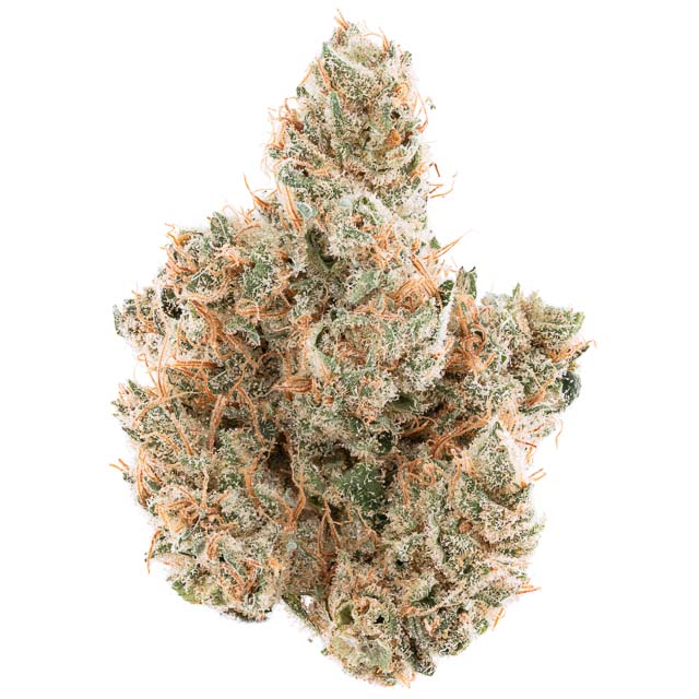 3T BLK LBL - GMO Flower 3.5g