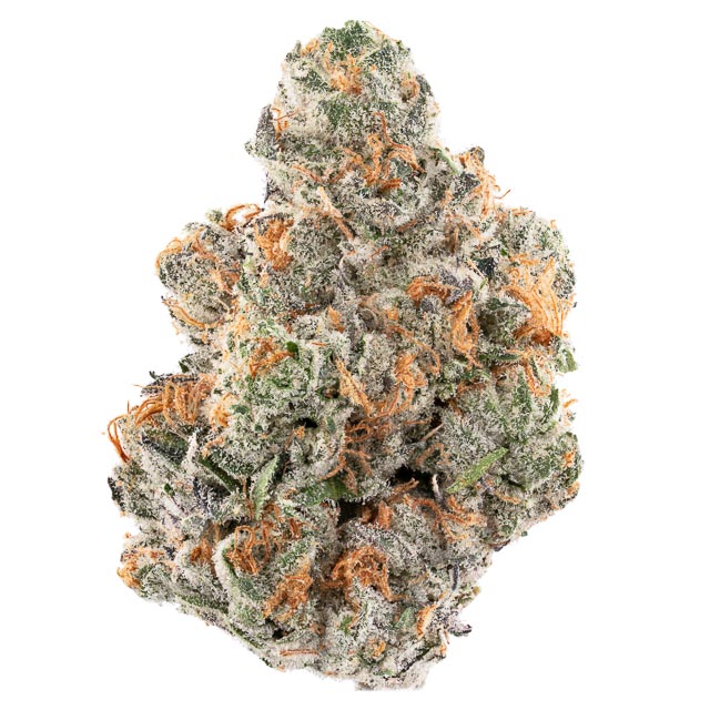 3T BLK LBL - Tequila Sunrise Flower 3.5g